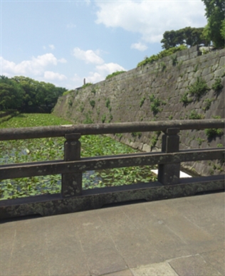 ブログ(史跡/百名城・続百名城3)