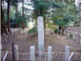 �u���O�i�j��/��k���P�j