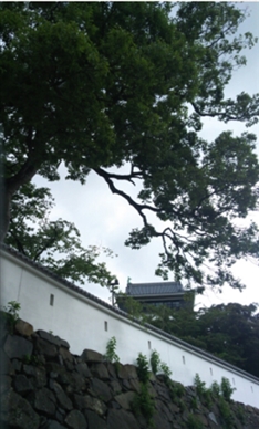 ブログ(史跡/百名城・続百名城3)