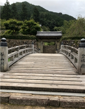 ブログ(史跡/百名城・続百名城4)