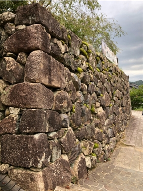 ブログ(史跡/百名城・続百名城4)