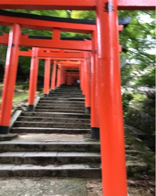 ブログ(史跡/百名城・続百名城4)