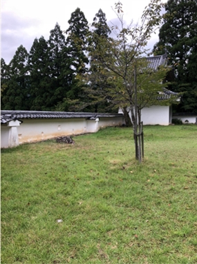 ブログ(史跡/百名城・続百名城4)