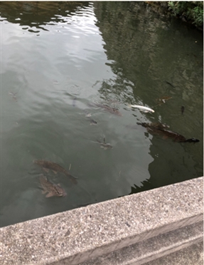 ブログ(史跡/百名城・続百名城4)