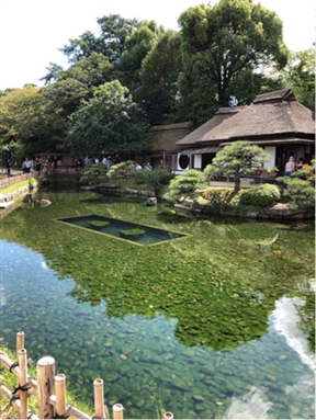 ブログ(史跡/百名城・続百名城4)