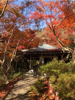 ブログ(史跡/百名城・続百名城4)