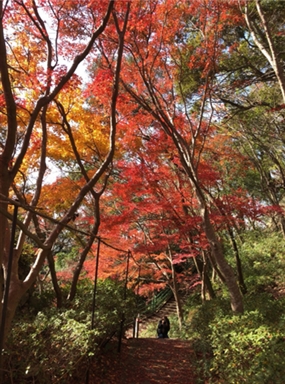 ブログ(史跡/百名城・続百名城4)