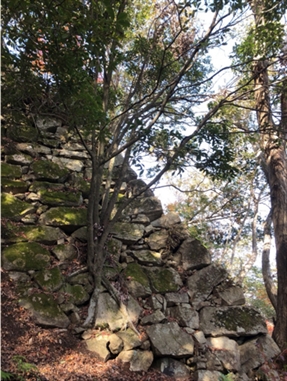 ブログ(史跡/百名城・続百名城4)