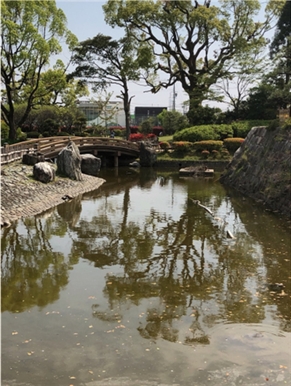 ブログ(史跡/百名城・続百名城4)