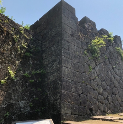 ブログ(史跡/百名城・続百名城4)