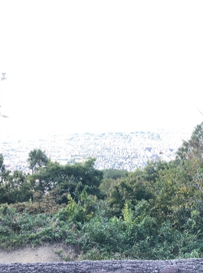 ブログ(史跡/百名城・続百名城4)