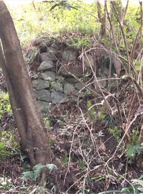 ブログ(史跡/百名城・続百名城4)