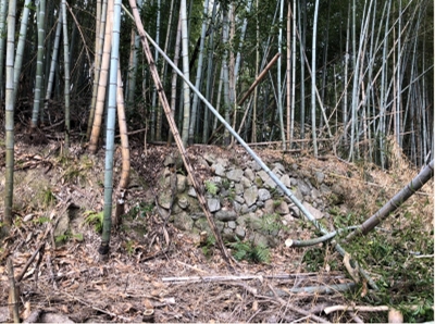 ブログ(史跡/百名城・続百名城4)