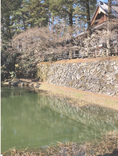 ブログ(史跡/百名城・続百名城4)