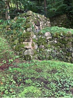 ブログ(史跡/百名城・続百名城5)