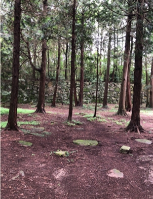 ブログ(史跡/百名城・続百名城5)