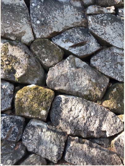 ブログ(史跡/百名城・続百名城4)