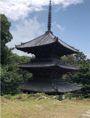 ブログ(史跡/百名城・続百名城5)