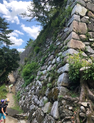 ブログ(史跡/百名城・続百名城5)