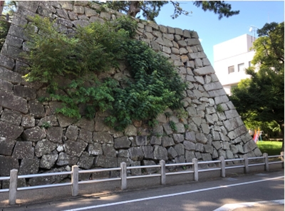 ブログ(史跡/百名城・続百名城5)