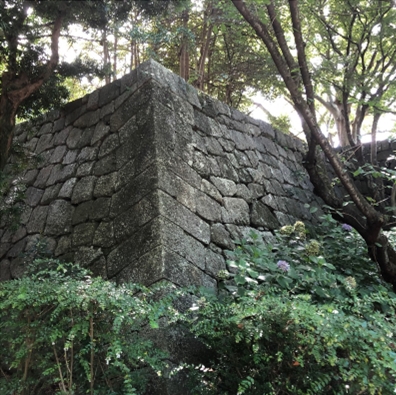 ブログ(史跡/百名城・続百名城5)