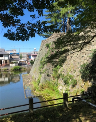 ブログ(史跡/百名城・続百名城5)