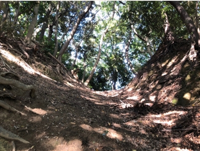 ブログ(史跡/百名城・続百名城5)