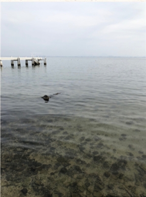 ブログ(史跡/百名城・続百名城5)