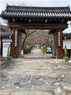 ブログ(史跡/百名城・続百名城5)