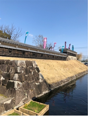 ブログ(史跡/百名城・続百名城5)