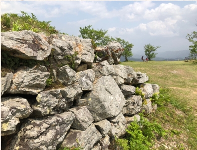 ブログ(史跡/百名城・続百名城5)
