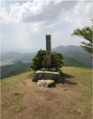 ブログ(史跡/百名城・続百名城5)