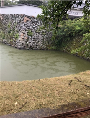 ブログ(史跡/百名城・続百名城5)