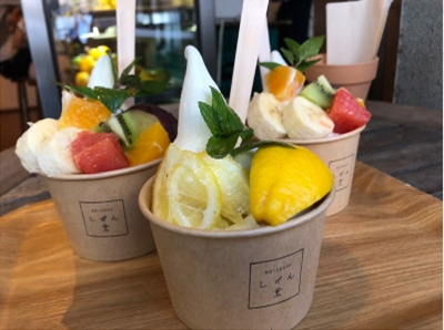 ブログ(史跡/百名城・続百名城5)