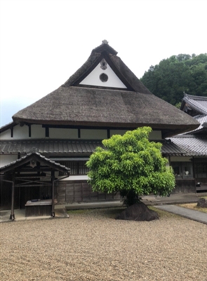 ブログ(史跡/南北朝3)