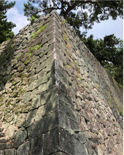 �u���O�i�j��/100����E��100����U�j