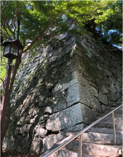 �u���O�i�j��/100����E��100����U�j