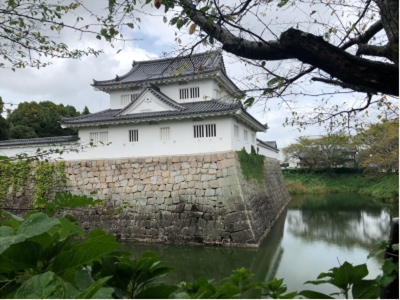 �u���O�i�j��/100����E��100����U�j