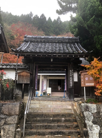 �u���O�i�j��/100����E��100����U�j