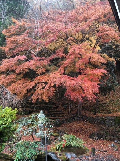 �u���O�i�j��/100����E��100����U�j