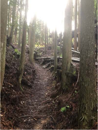 �u���O�i�j��/100����E��100����U�j