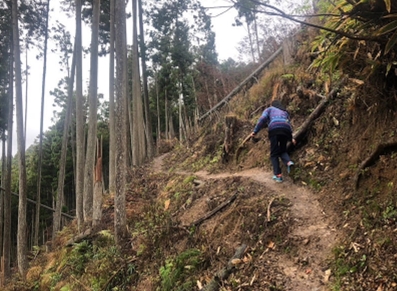 �u���O�i�j��/100����E��100����U�j