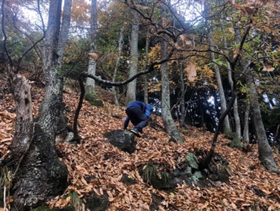 �u���O�i�j��/100����E��100����U�j