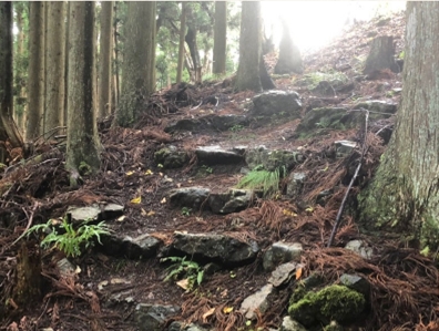 �u���O�i�j��/100����E��100����U�j