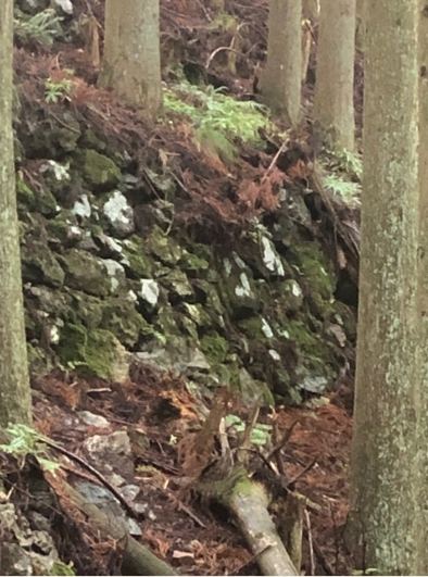 �u���O�i�j��/100����E��100����U�j