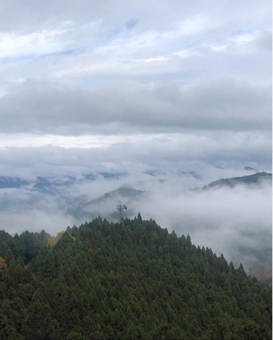 �u���O�i�j��/100����E��100����U�j