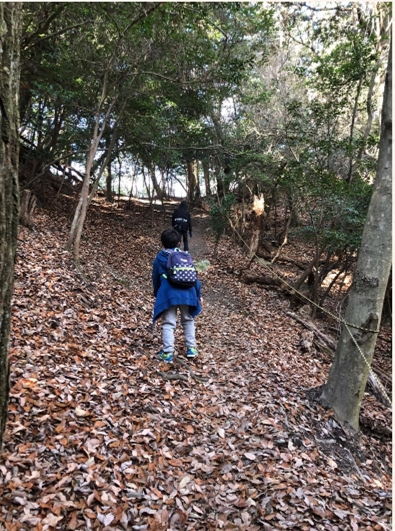 �u���O�i�j��/100����E��100����U�j