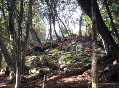 �u���O�i�j��/100����E��100����U�j