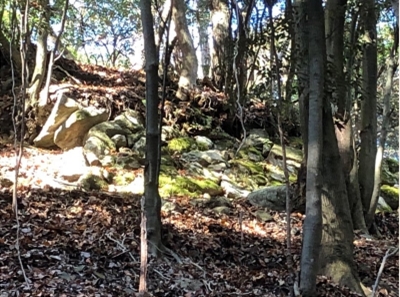 �u���O�i�j��/100����E��100����U�j