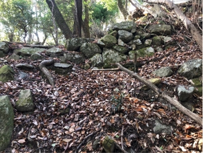 �u���O�i�j��/100����E��100����U�j